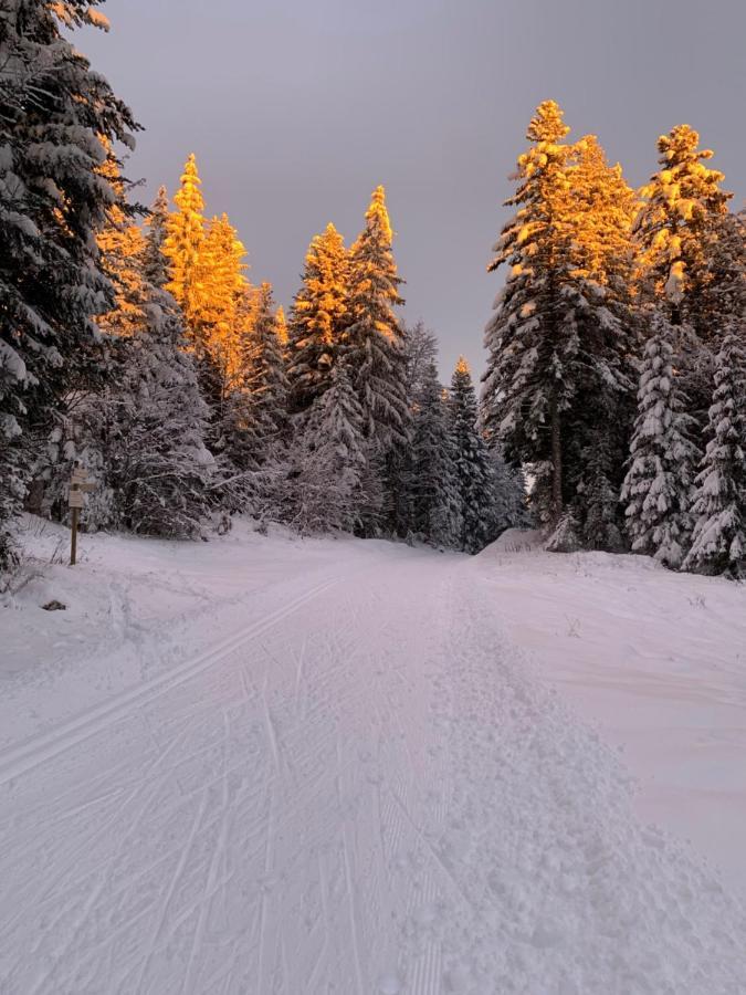 Отель Le Relais Nordique Giron Экстерьер фото