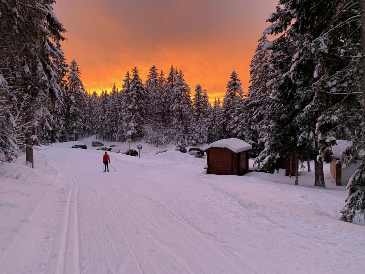 Отель Le Relais Nordique Giron Экстерьер фото